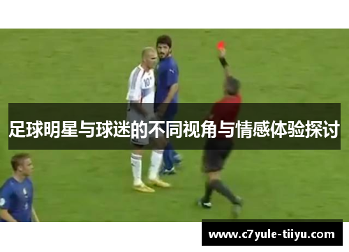 足球明星与球迷的不同视角与情感体验探讨