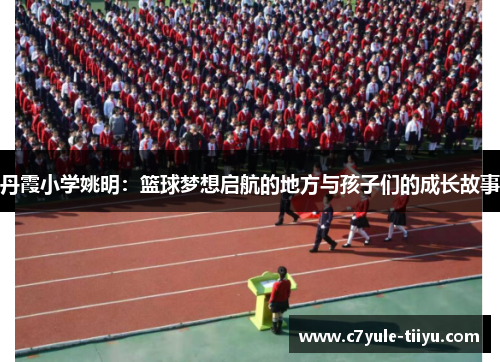 丹霞小学姚明：篮球梦想启航的地方与孩子们的成长故事