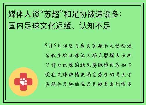 媒体人谈“苏超”和足协被造谣多：国内足球文化迟缓、认知不足